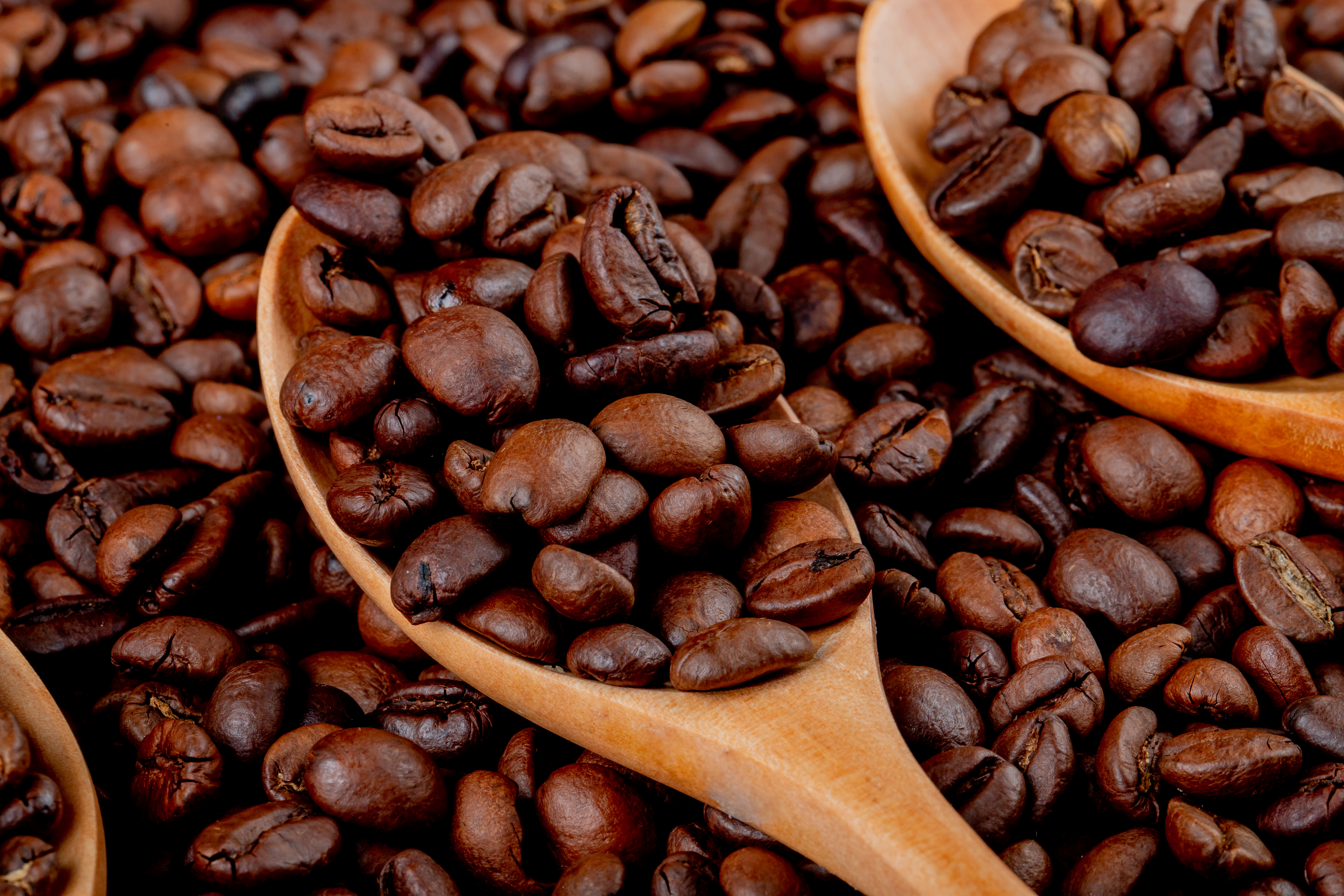 Roasted Coffee  Extract